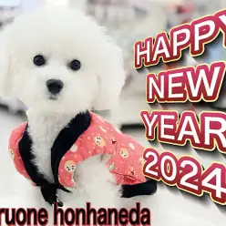 【 新年のご挨拶 】本羽田店より本年もどうぞよろしくお願いいたします！