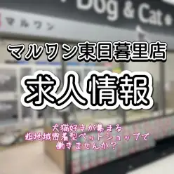 【 求人 】マルワン東日暮里店スタッフ募集！2024年3月卒も大歓迎！