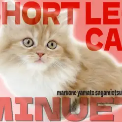 【 ミヌエット 】マンチカンに負けない短足！好奇心旺盛で得意技はマンチ立ち！