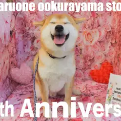 【 11周年 】総勢36頭がお祝いに駆けつけてくれた大倉山店11歳の誕生日！