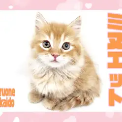 【 ミヌエット 】温厚で短足のレッドタビーの爆毛イケメンにゃんこあらわる！