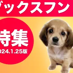 【 ダックスフント特集 】1/25現在在店中の胴長短足のダックスフントちゃん！