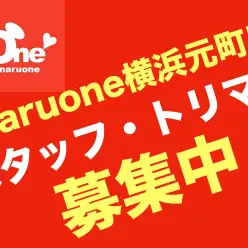 【 スタッフ募集 】販売スタッフ＆トリマー募集中！【 横浜元町店 】