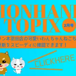 【 HONHANEトピックス2月号 】マルワン本羽田店2月の配信情報！