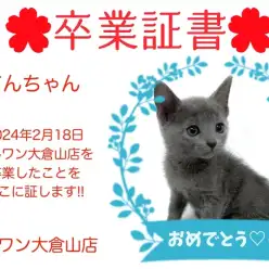 【卒業証書】てんちゃん卒業おめでとう！！スタッフママより愛を込めて！