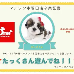 【 卒業記念 】オレオちゃん卒業おめでとう！今までの感謝を込めて〜卒業ブログ〜