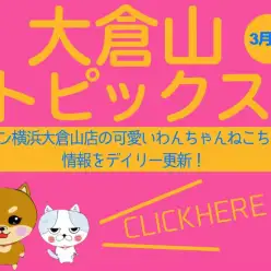 【 OKURAYAMA トピックス3月版】マルワン大倉山店の3月の情報配信を確認！