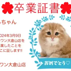 【卒業証書】タラちゃん卒業おめでとう！！スタッフママより愛を込めて！