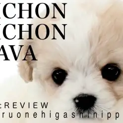 【 MIX ビビキャバ 】マルワン初の組み合わせMIXの全方向レビュー！