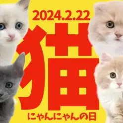 【 にゃんにゃんの日 】2.22はにゃんにゃんの日！大倉山店のカワイコちゃんを紹介！