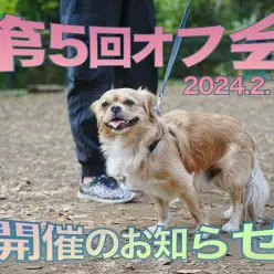 【 オフ会 】第5回オフ会開催のお知らせ！みんなで遊んで寒い冬を吹っ飛ばせ！！！