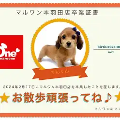 【 卒業記念 】テンくん卒業おめでとう！スタッフママよりお祝いの言葉〜卒業ブログ〜