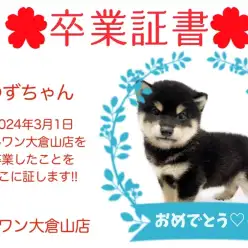 【 卒業証書 】ゆずちゃん卒業おめでとう！！スタッフママより愛を込めて！