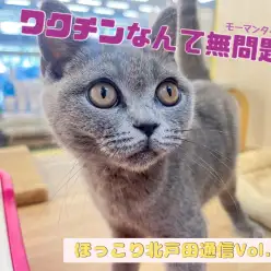 【 ほっこり北戸田通信Vol.21 】ワクチンなんてへっちゃらよ！