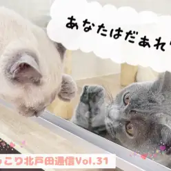 【 ほっこり北戸田通信Vol.31 】 友達になれる最初の一歩