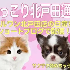 【 ほっこり北戸田通信集 2月&3月号 】日々の日常をマルっとまとめました！