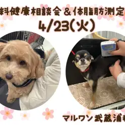 【 お知らせ 】4/23(火)無料健康相談会&体脂肪測定会開催！