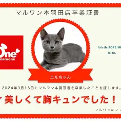 【 卒業記念 】エルちゃん卒業おめでとう!今までの感謝を込めて〜卒業ブログ〜