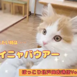 【 ほっこり北戸田通信Vol.4 】イニャバウアーポーズ