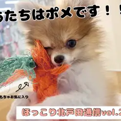 【 ほっこり北戸田通信Vol.26 】瓜二つ！？奇跡のツーショット！