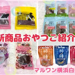 【 商品紹介 】春の新商品入荷しました！犬用おやつのご紹介