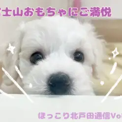 【 ほっこり北戸田通信Vol.34 】むちむちベイビー、おもちゃに夢中！