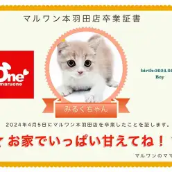 【 卒業記念 】みるくちゃん卒業おめでとう!今までの感謝を込めて〜卒業ブログ〜