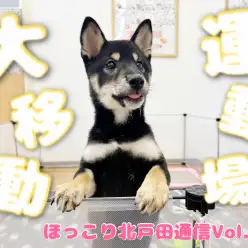 【 ほっこり北通Vol.52 】運動スペースの大移動！