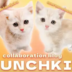 【 今宿店本羽田店コラボブログ 】兄弟マンチカンどっちでSHOWタイム!