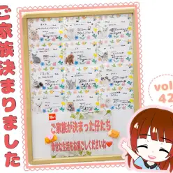 【 ほっこり北通Vol.42 】マルワン北戸田店だけの特別カード！