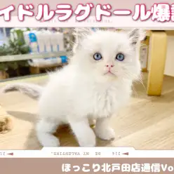 【 ほっこり北通Vol.53 】天才的なアイドルラグちゃん！