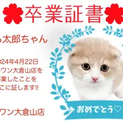 【 卒業証書 】もも太郎ちゃん卒業おめでとう！！スタッフママより愛を込めて！