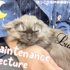 【 ほっこり北通vol.60 】卒業生のミヌちゃんがメンテナンスレクチャーに挑戦！