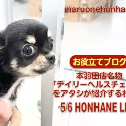 【 デイリーヘルスチェック 】必見！本羽田店のモーニングルーティーンをご紹介！