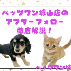 【 マルワンサポート 】 ペッツワン城山店のアフターフォローを徹底解説！