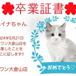 【 卒業証書 】ニイナちゃん卒業おめでとう！！スタッフママより愛を込めて！