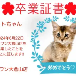 【 卒業証書 】トトちゃん卒業おめでとう！！スタッフママより愛を込めて！