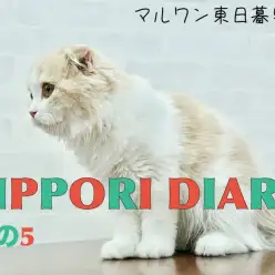 【 NIPPORIDIARYその5 】ゴロりんスコちゃんの日常