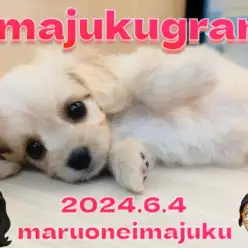 【 イマジュクグラム 】レアカラーキャバションちゃまブログ用オフショット大公開!