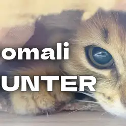 【 ソマリ成長ログ 】ベットの下に潜む小さなHUNTER！！