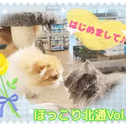 【 ほっこり北通Vol.93 】おっとりスコちゃんと優しいノル兄ちゃん