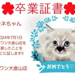 【 卒業証書 】モネちゃん卒業おめでとう！！スタッフママより愛を込めて！