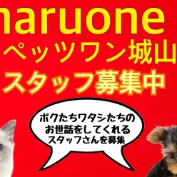 【 城山店スタッフ募集 】ワンちゃんネコちゃんのお世話&接客スタッフ募集中