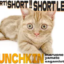 【 マンチカン 】短足と美しきタビー模様に磨きをかけた！生後4ヶ月の2nd記事！