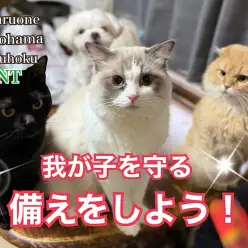 【 お役立て情報 】守れるのは飼い主さんだけ！あると安心防災グッズ