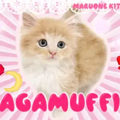 【 ラガマフィン 】猫界の美少年降臨!一目で虜にするその魅力を徹底解説!