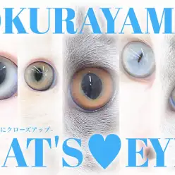 【 大倉山キャッツ・アイ 】夏休みの宿題応援企画！猫のパーツを自由研究！