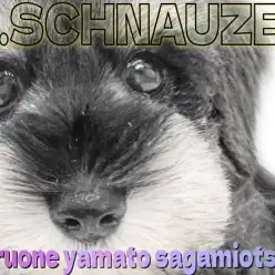 【 ミニチュアシュナウザー 】瞳と長いまつ毛が愛らしい！モノクロの癒し系女の子！