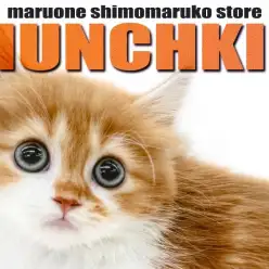 【 マンチカン 】超が付く程の短足!毛色と被毛の長さが噛み合った癒し系の女の子