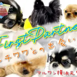 【 ファーストパートナー 】マルワン横浜元町店スタッフ古満の1番の推しをご紹介！